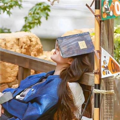 智勇双探 在线观看